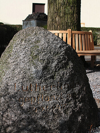 Die Inschrift im Stein bezeugt das Datum der Pflanzung der Lutherlinde: 04.11.1917